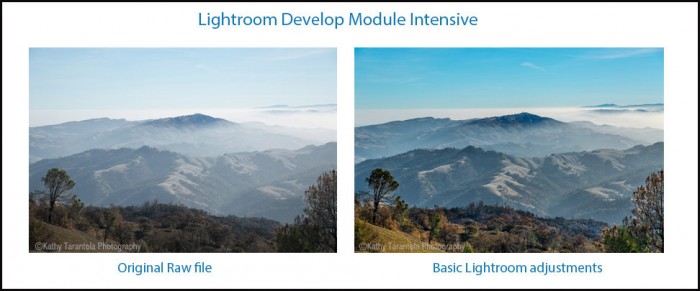 LR Develop Module Before-After