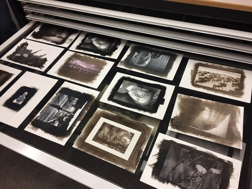 Ziatype prints from previous workshop ©Anne Eder