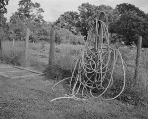 b&w image of hose coiled on a fence