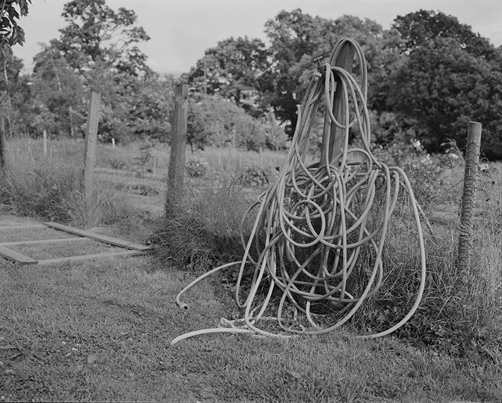 b&w image of a hose coiled over a fence