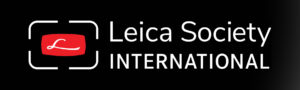 LSI Logo