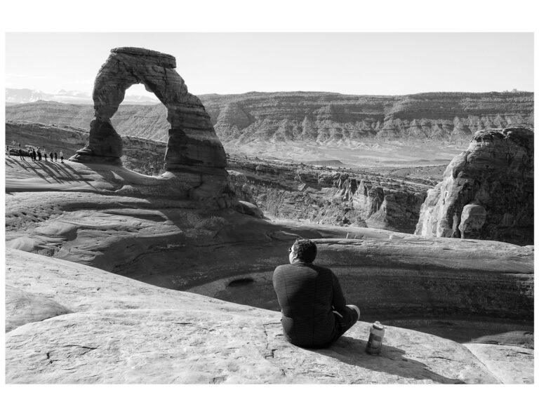 DSI Silver-PSP-fiber