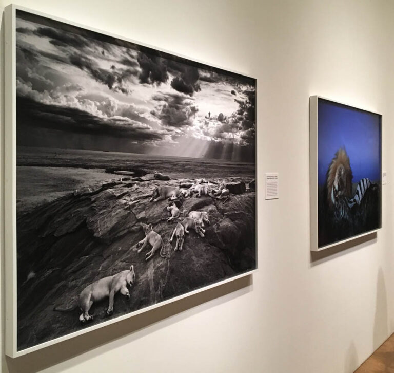 Custom-made in New England, our welded aluminum frames feature seamless corners that won’t separate or gap