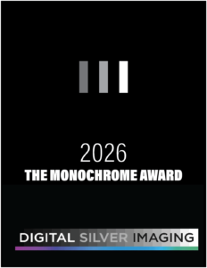 DSI Monochrome award graphic