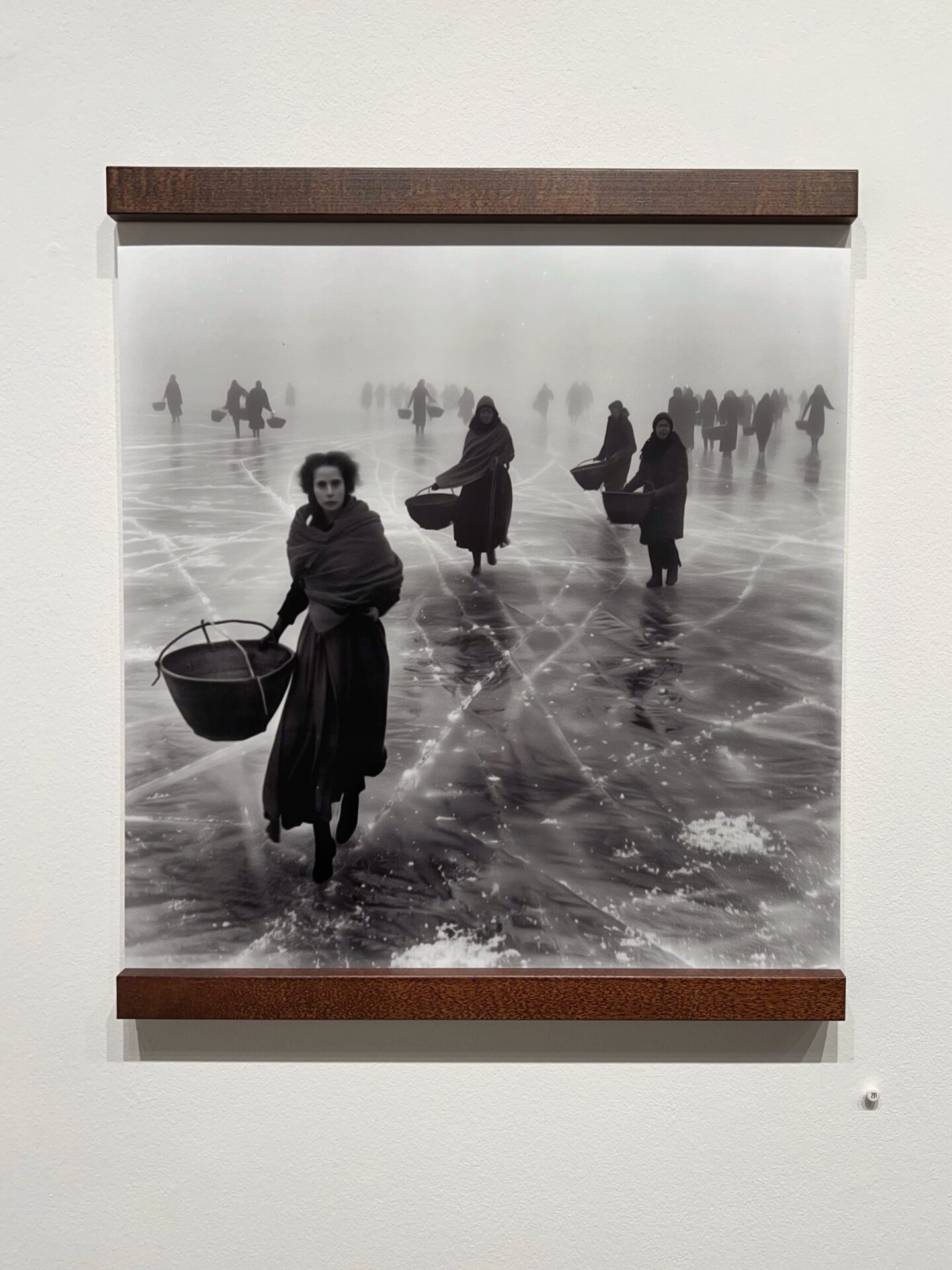 Dylan and the Dead ©Herb Greene