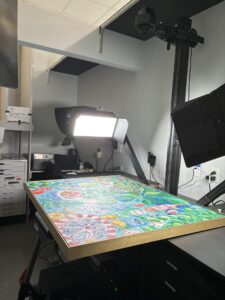 Painting in DT Atom digitization system