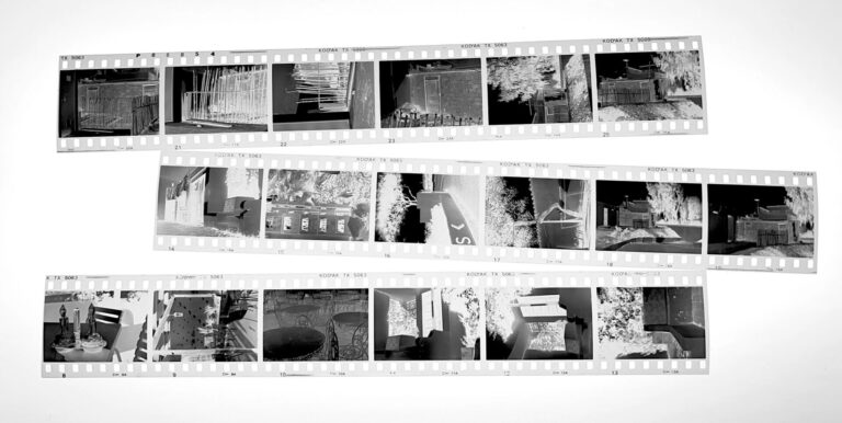 Flatbed Scans for Prints, Film & Small Flat Works